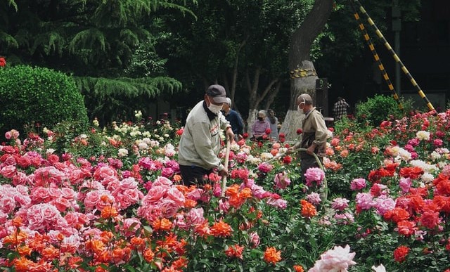 Call-Center/Front-Office at SelarasMitraSinergi